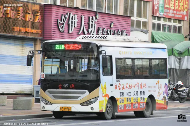 800BUS