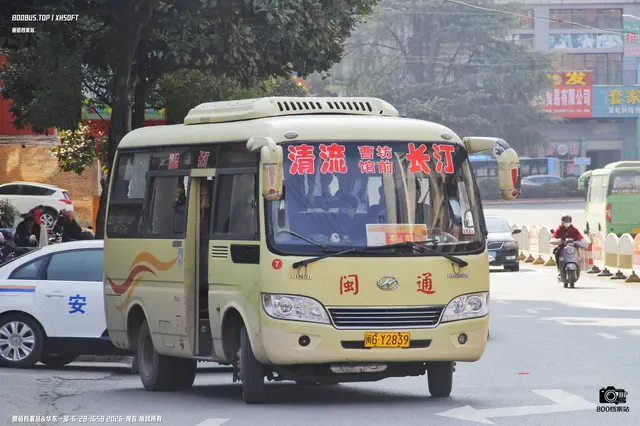 800BUS