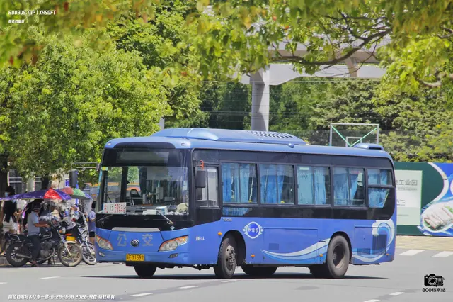 800BUS