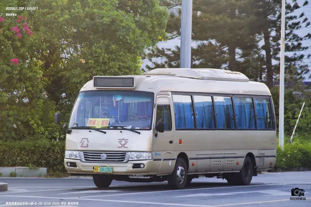 800BUS