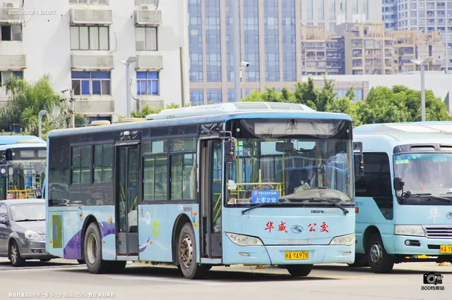 800BUS
