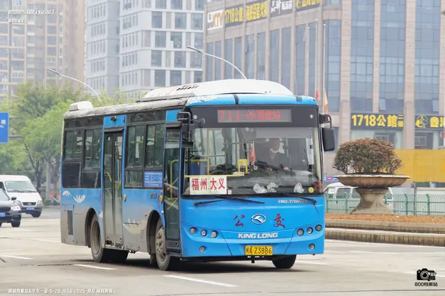 800BUS