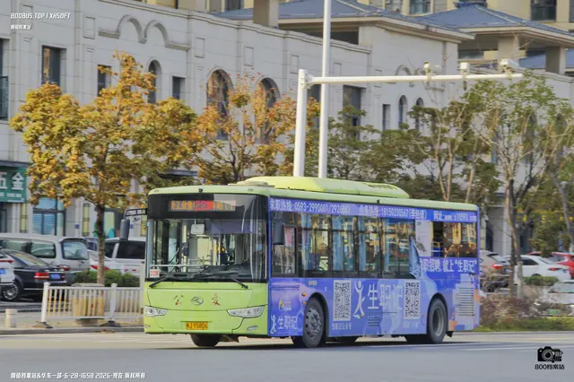 800BUS