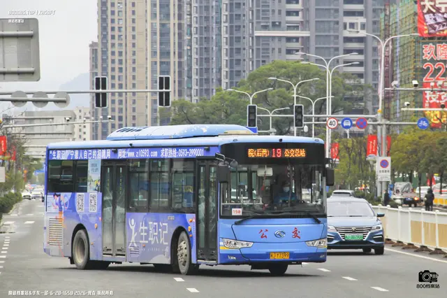 800BUS