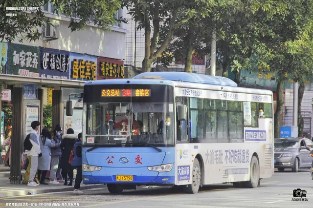 800BUS