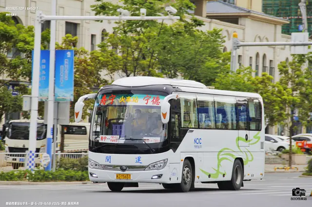 800BUS