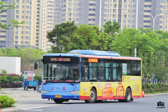 800BUS
