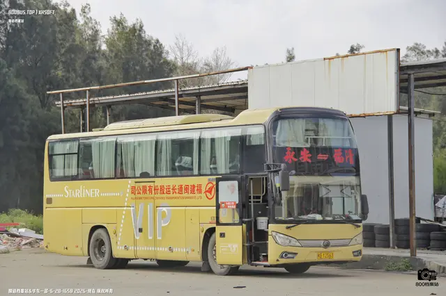 800BUS