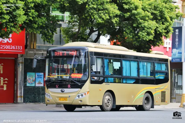 800BUS