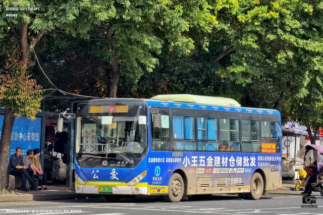 800BUS