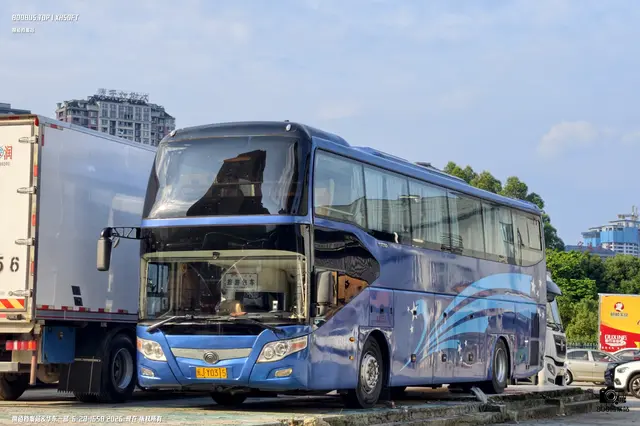 800BUS