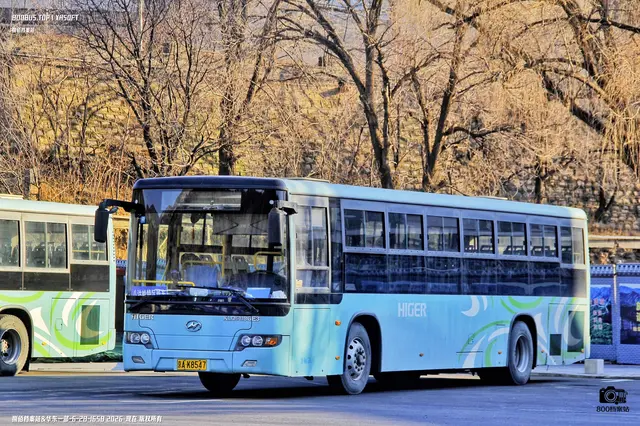 800BUS