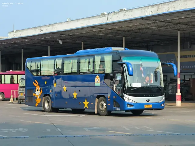 800BUS