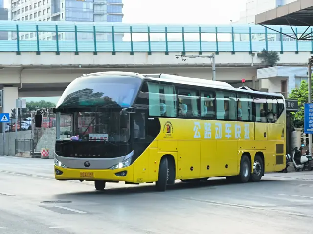 800BUS