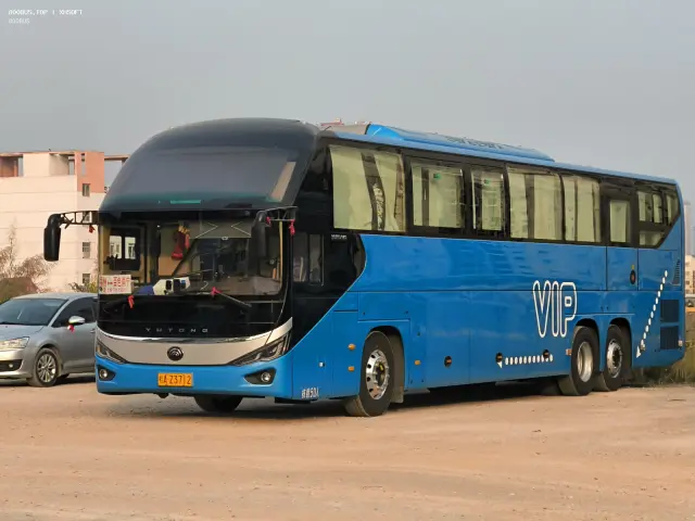 800BUS