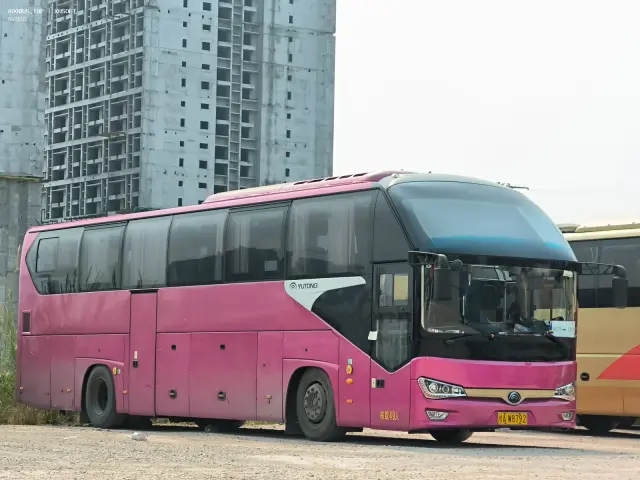 800BUS