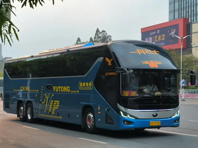 800BUS