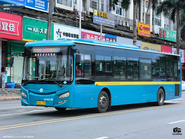 800BUS
