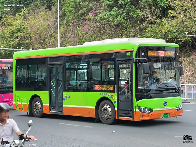 800BUS