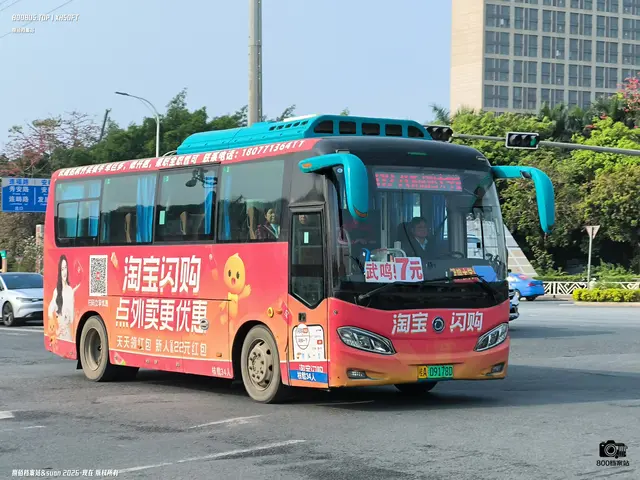 800BUS