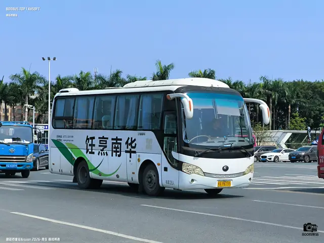 800BUS