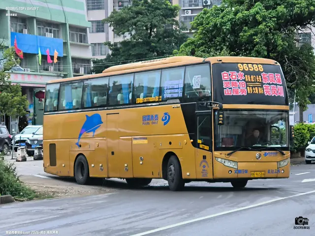 800BUS