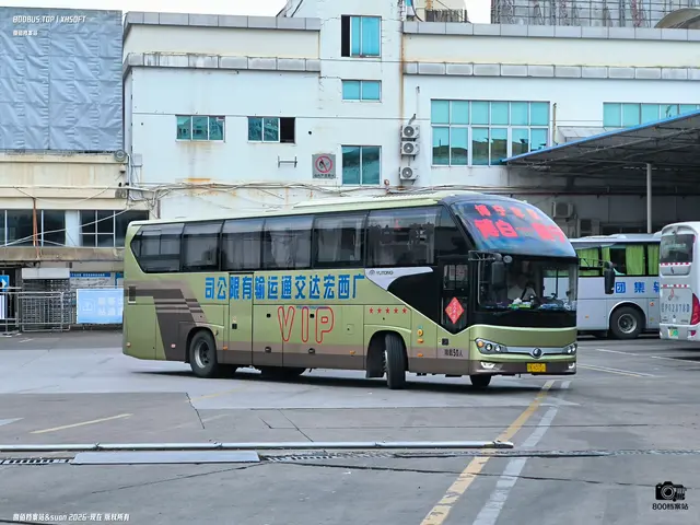 800BUS