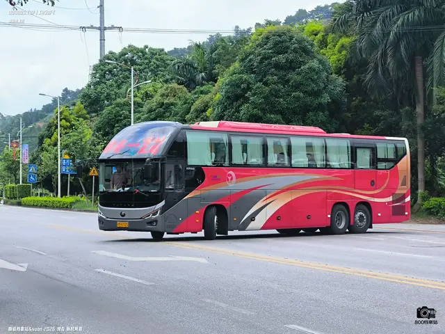 800BUS