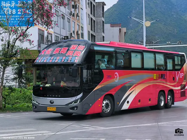 800BUS
