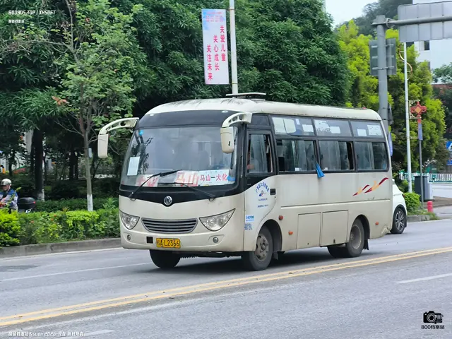 800BUS
