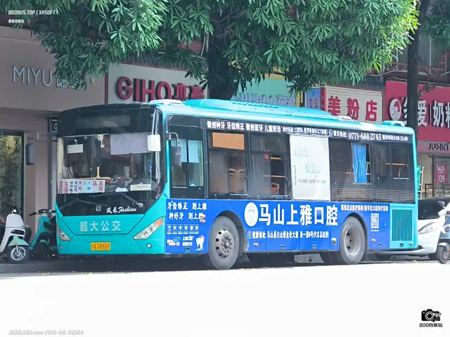 800BUS