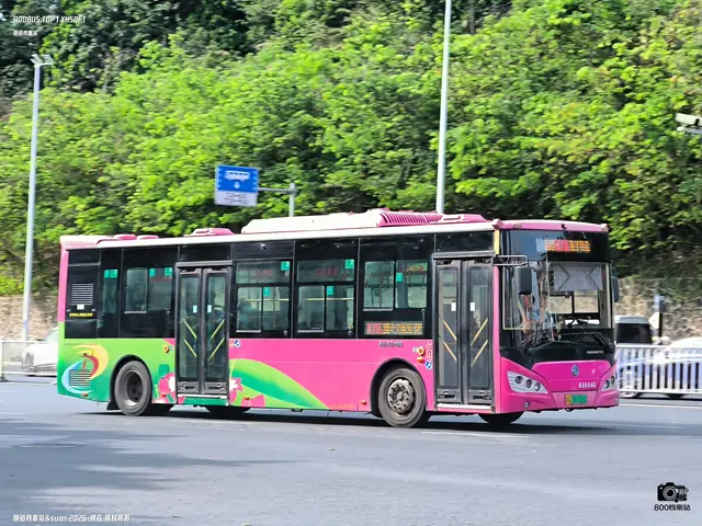 800BUS