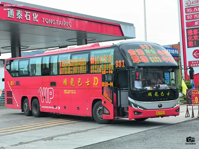 800BUS
