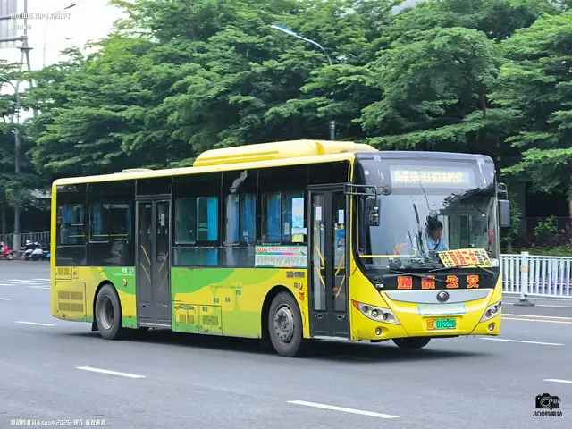 800BUS