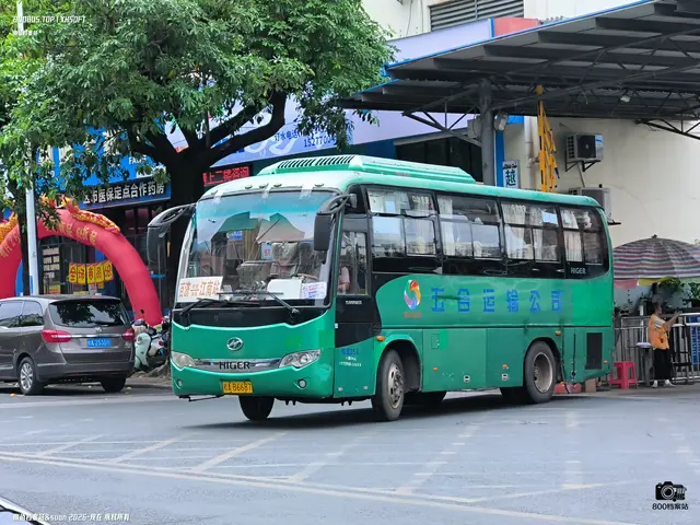 800BUS