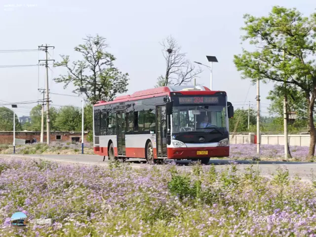京A T6525