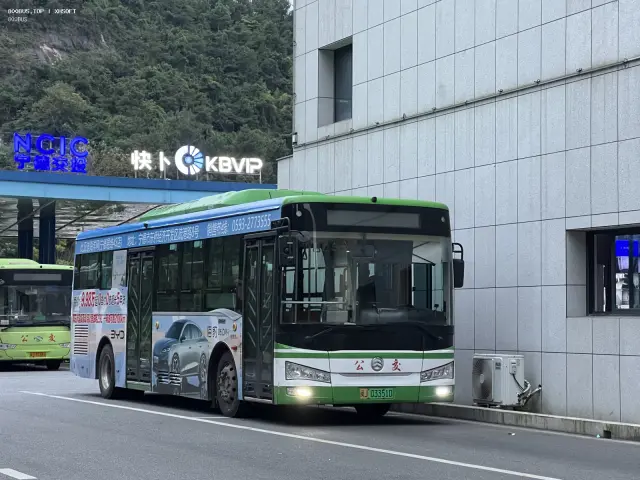 800BUS
