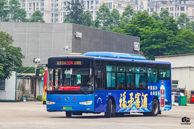 800BUS