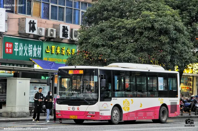 800BUS
