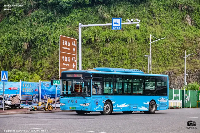 800BUS