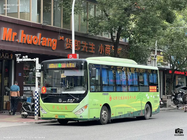 800BUS
