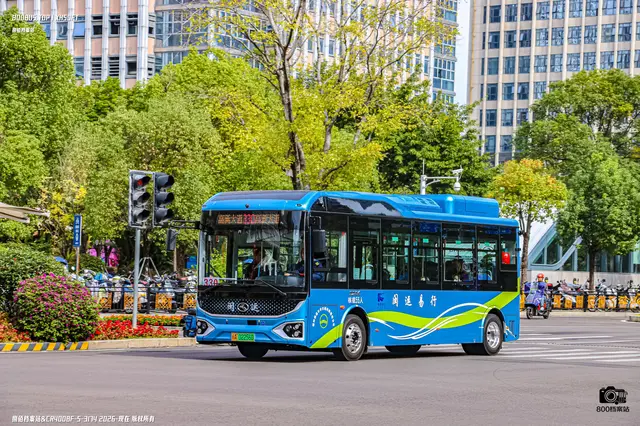 800BUS