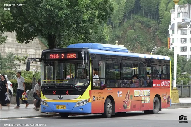 800BUS