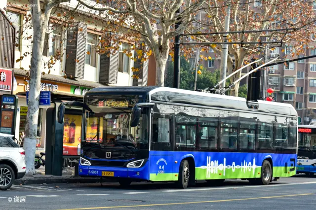 浙A 15M71