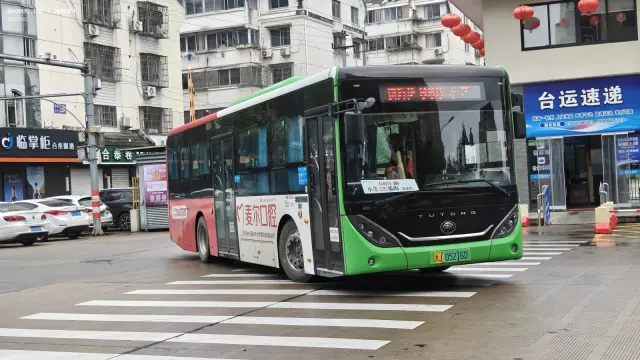 浙J 05216D