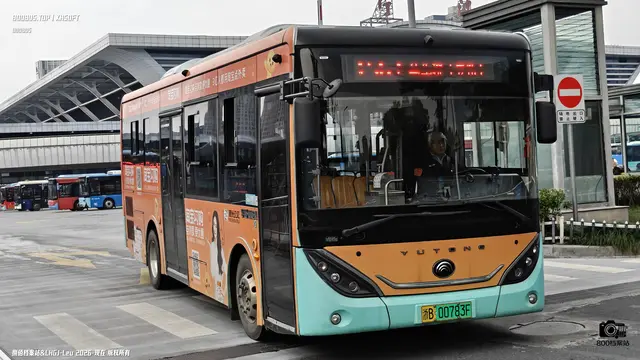 800BUS