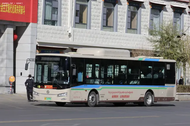 800BUS