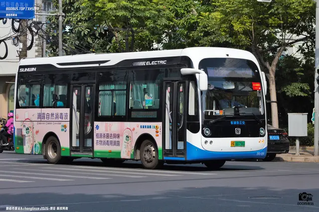 800BUS