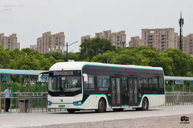 800BUS
