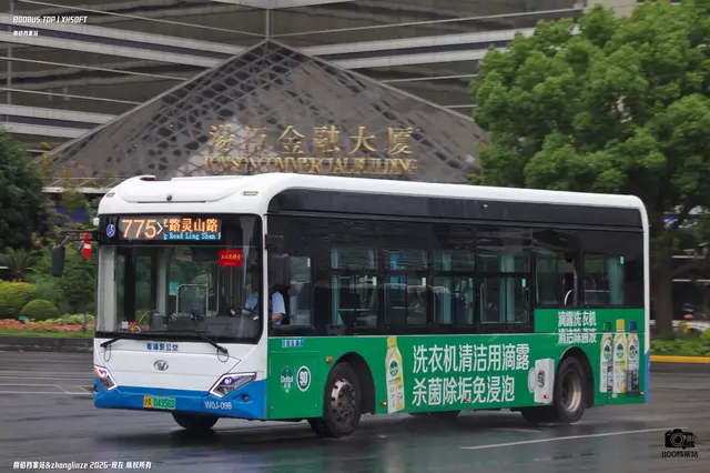 800BUS